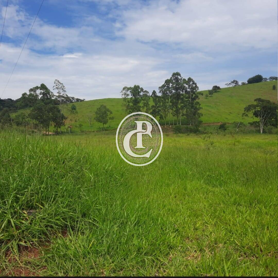 Fazenda, 203 hectares - Foto 2