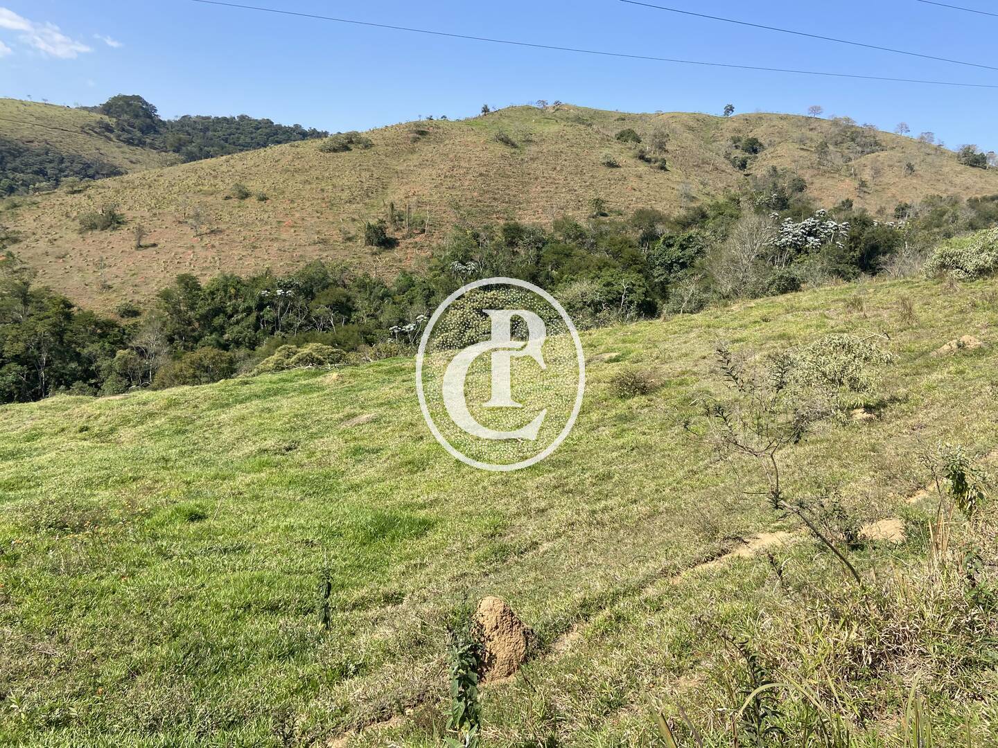 Terreno, 2 hectares - Foto 2