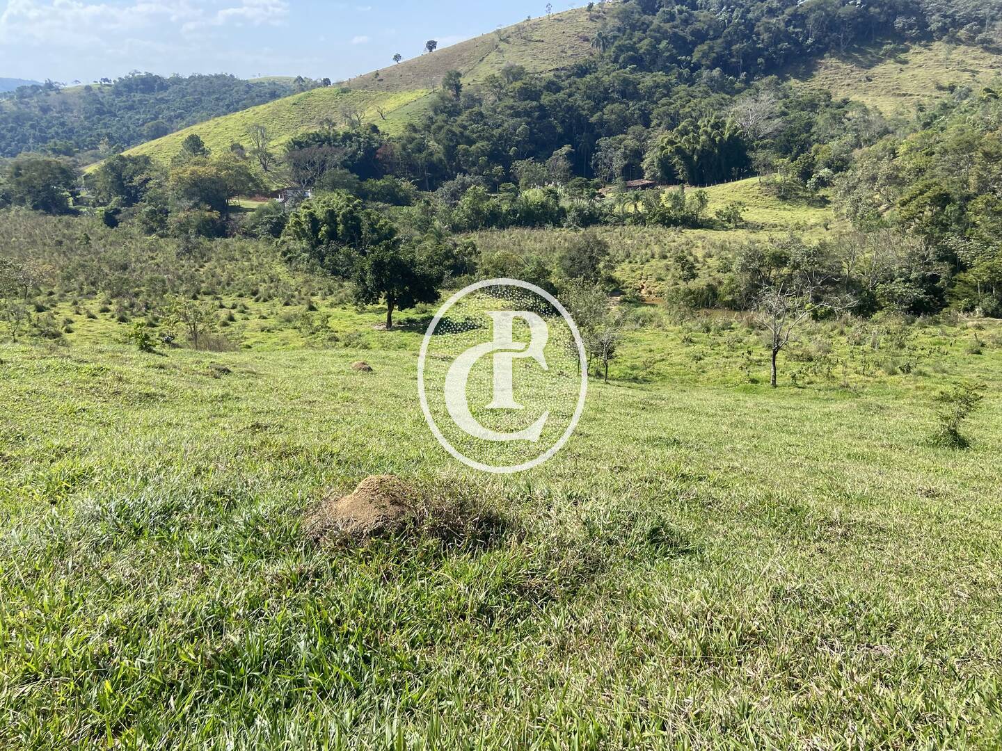 Terreno, 2 hectares - Foto 4