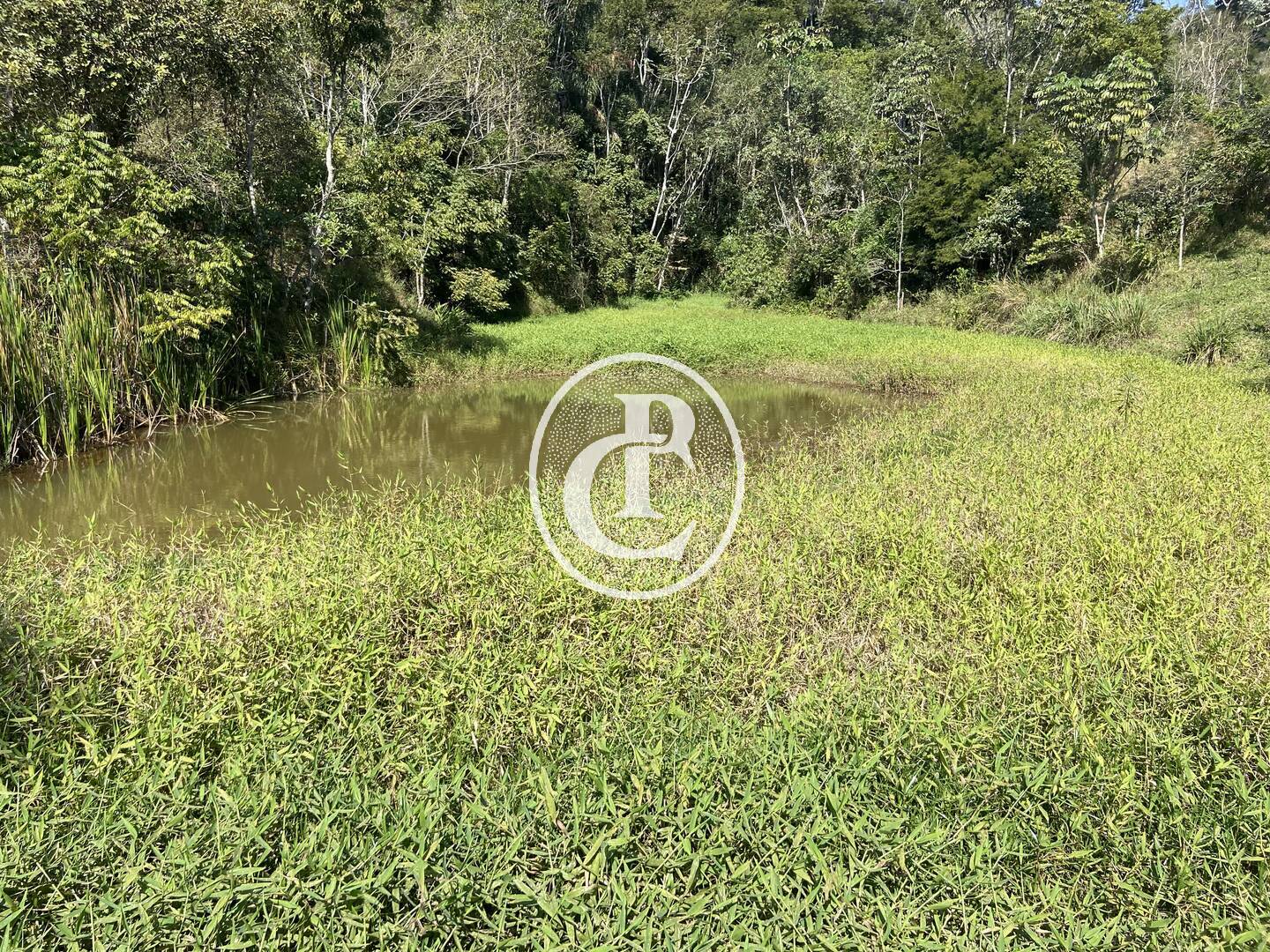 Terreno, 2 hectares - Foto 5