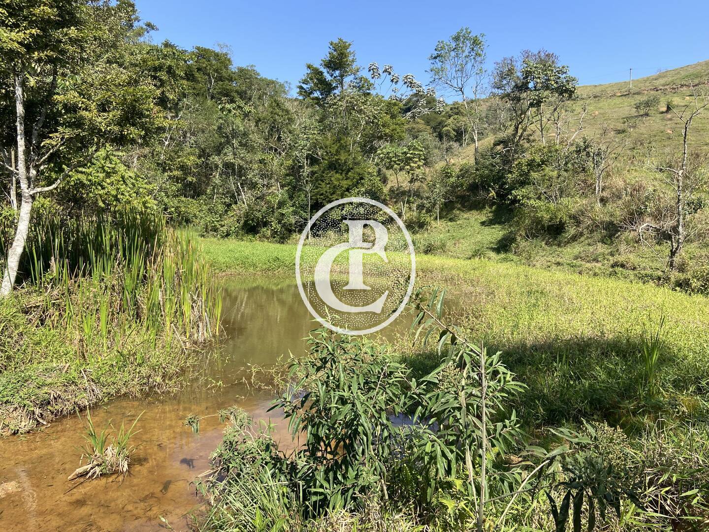 Terreno, 2 hectares - Foto 6