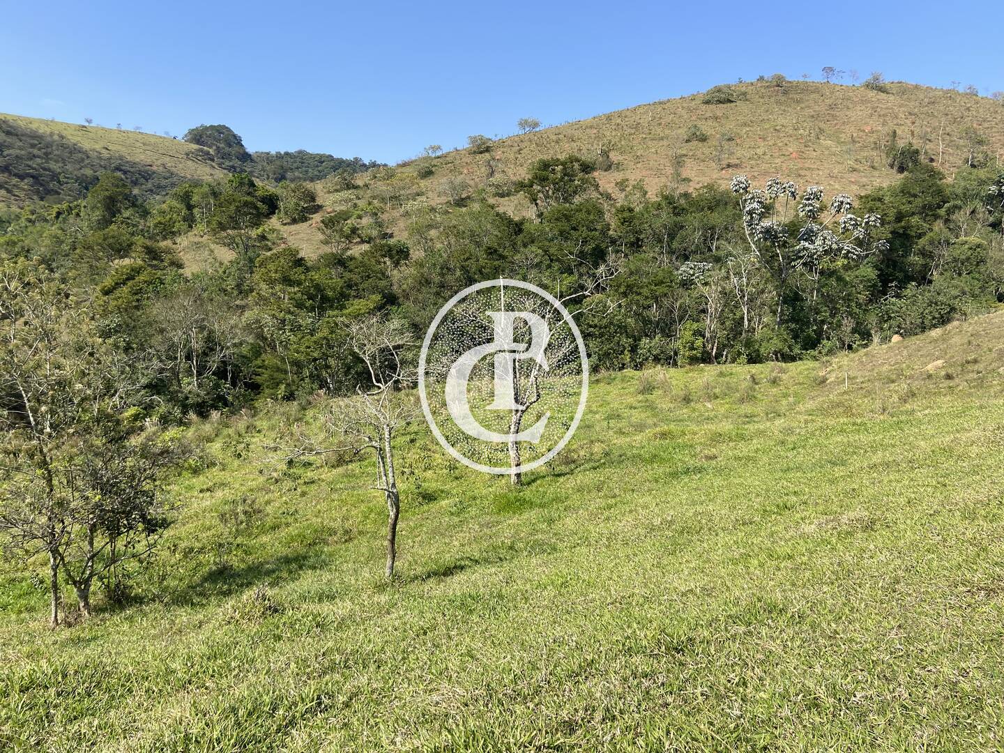 Terreno, 2 hectares - Foto 8