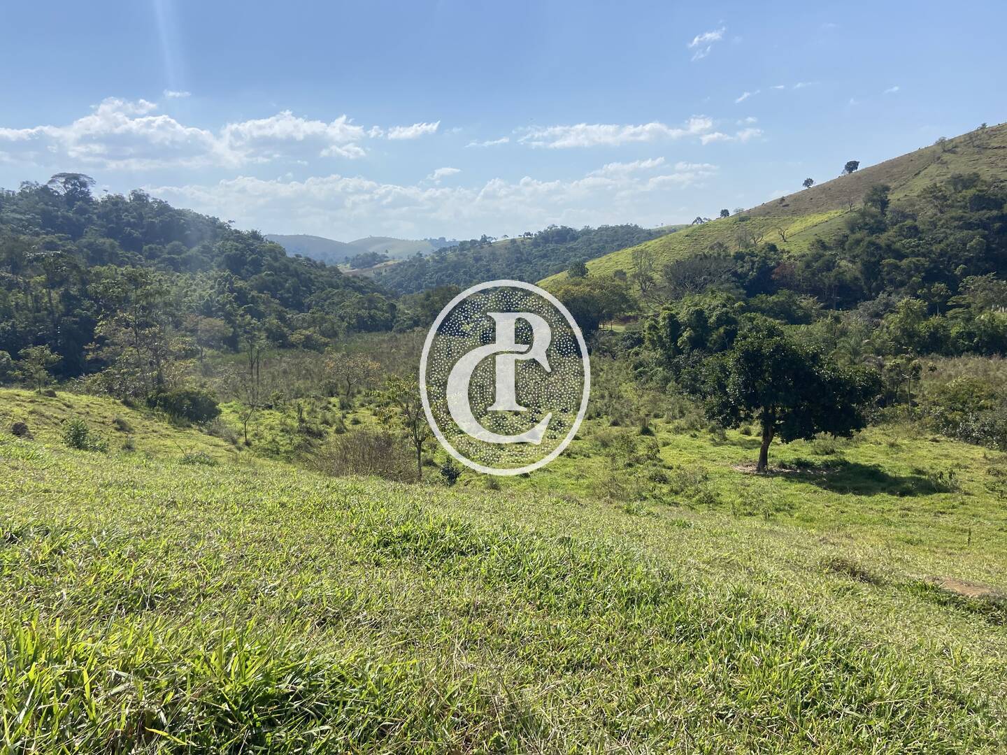 Terreno, 2 hectares - Foto 10