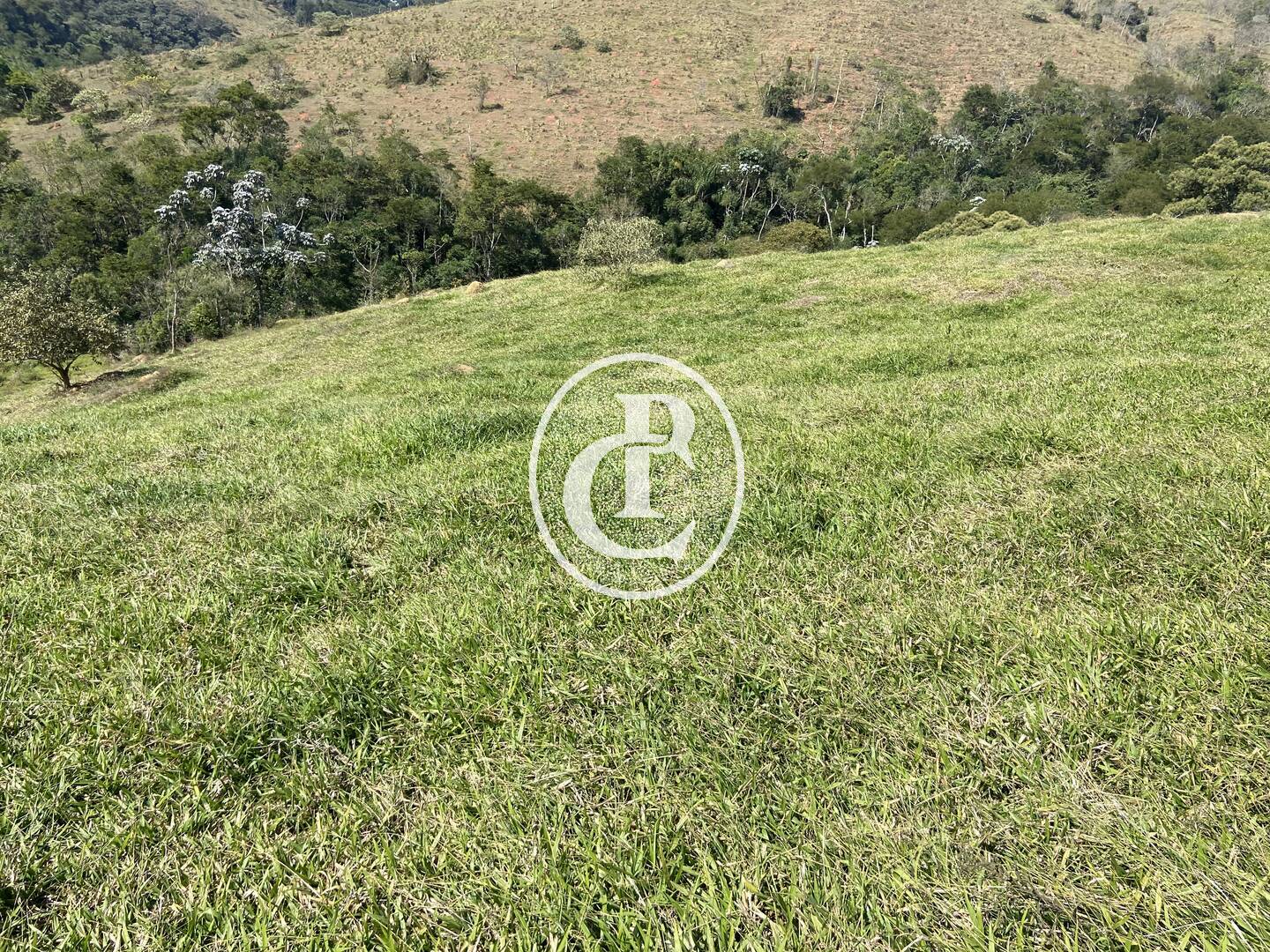 Terreno, 2 hectares - Foto 12