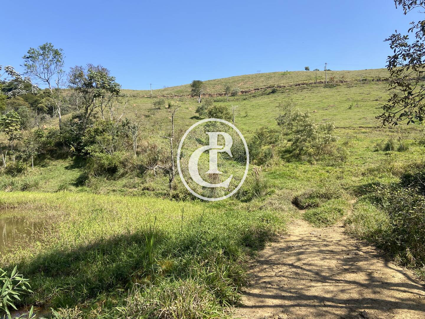 Terreno, 2 hectares - Foto 13