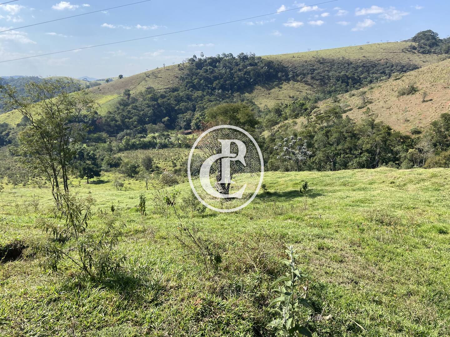 Terreno, 2 hectares - Foto 17