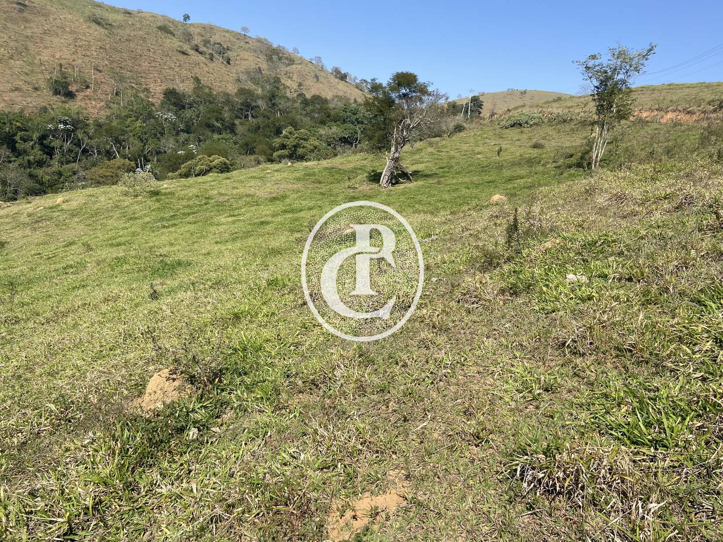 Terreno, 2 hectares - Foto 19