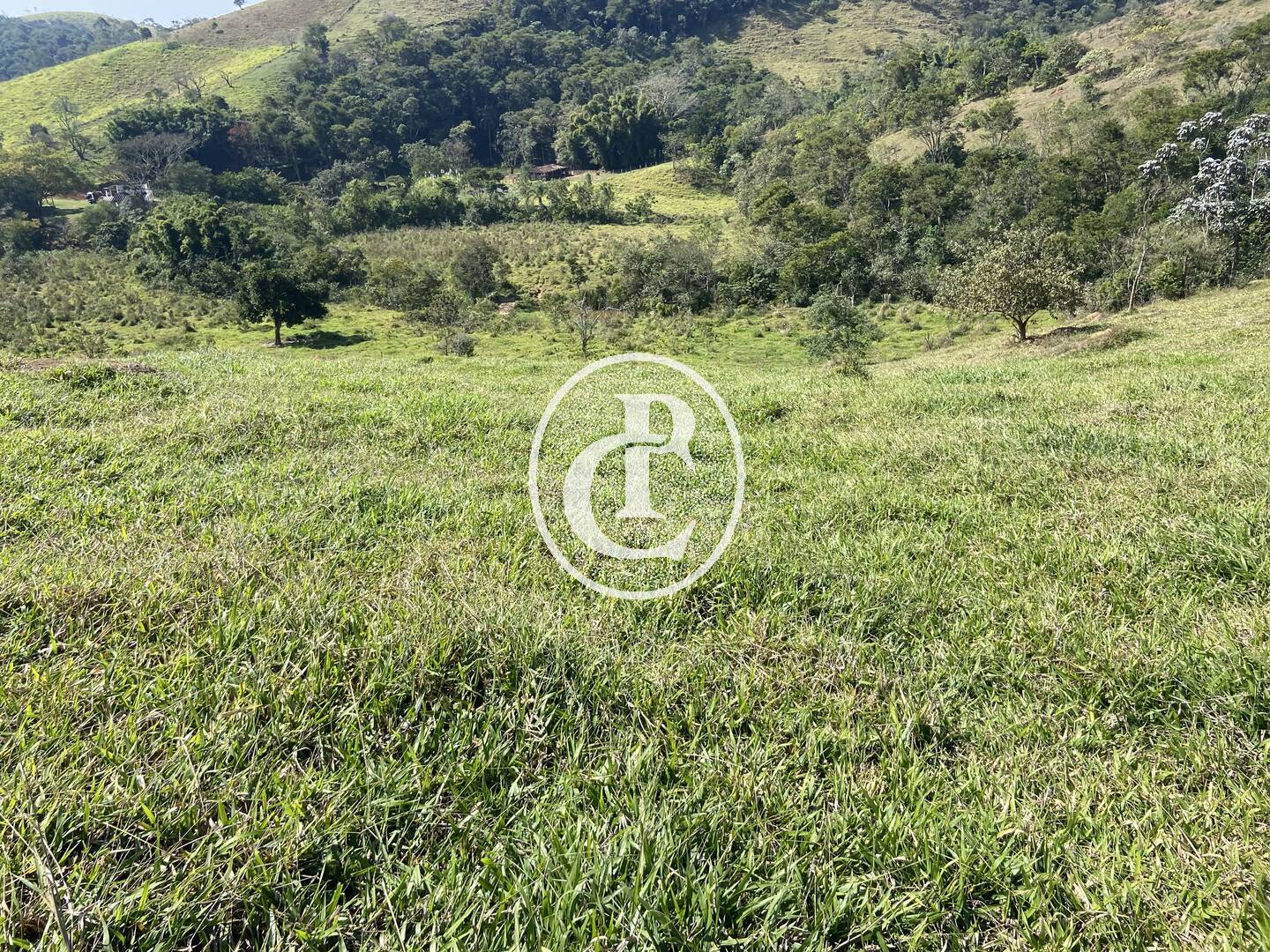 Terreno, 2 hectares - Foto 22