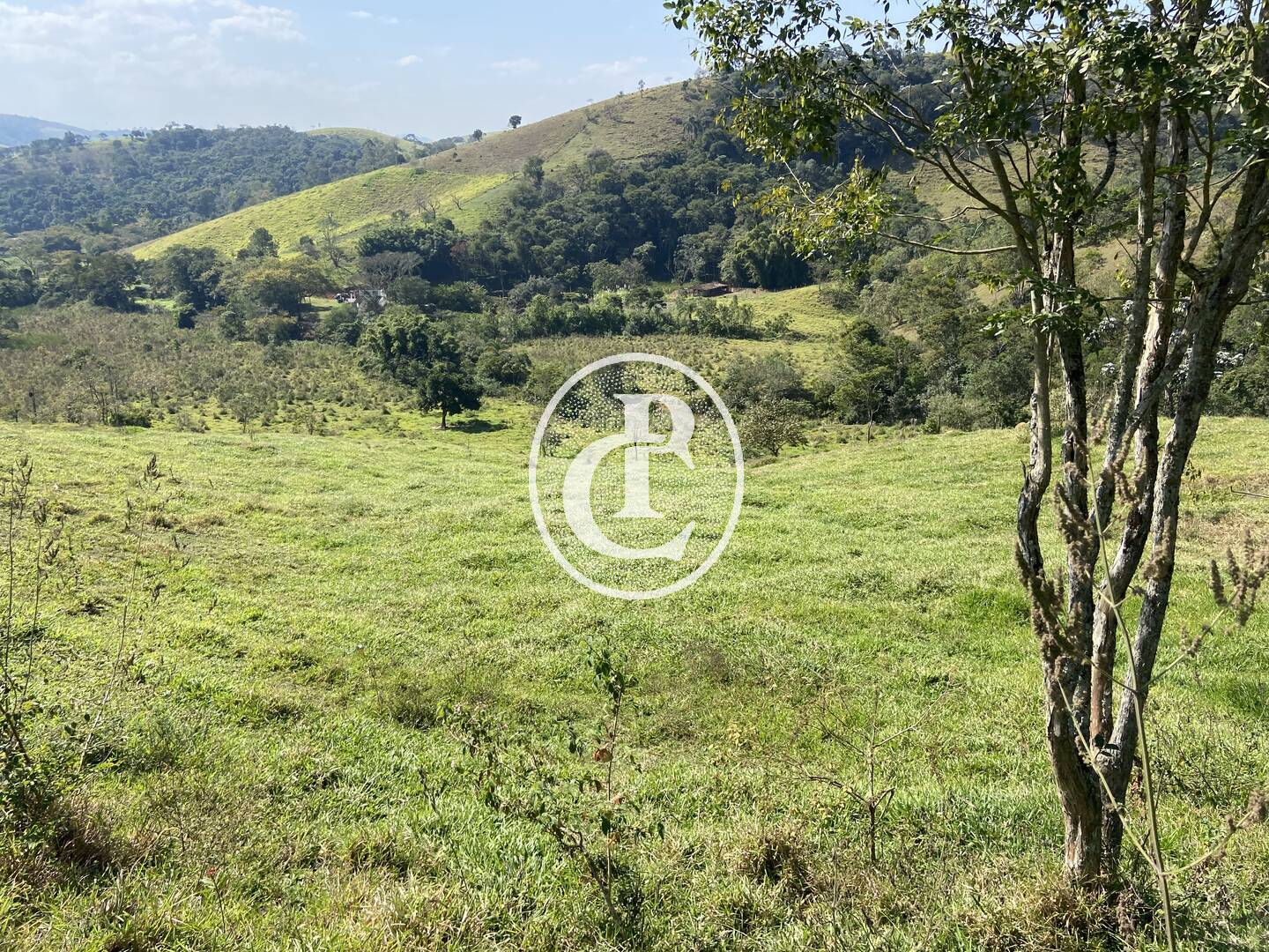 Terreno, 2 hectares - Foto 24