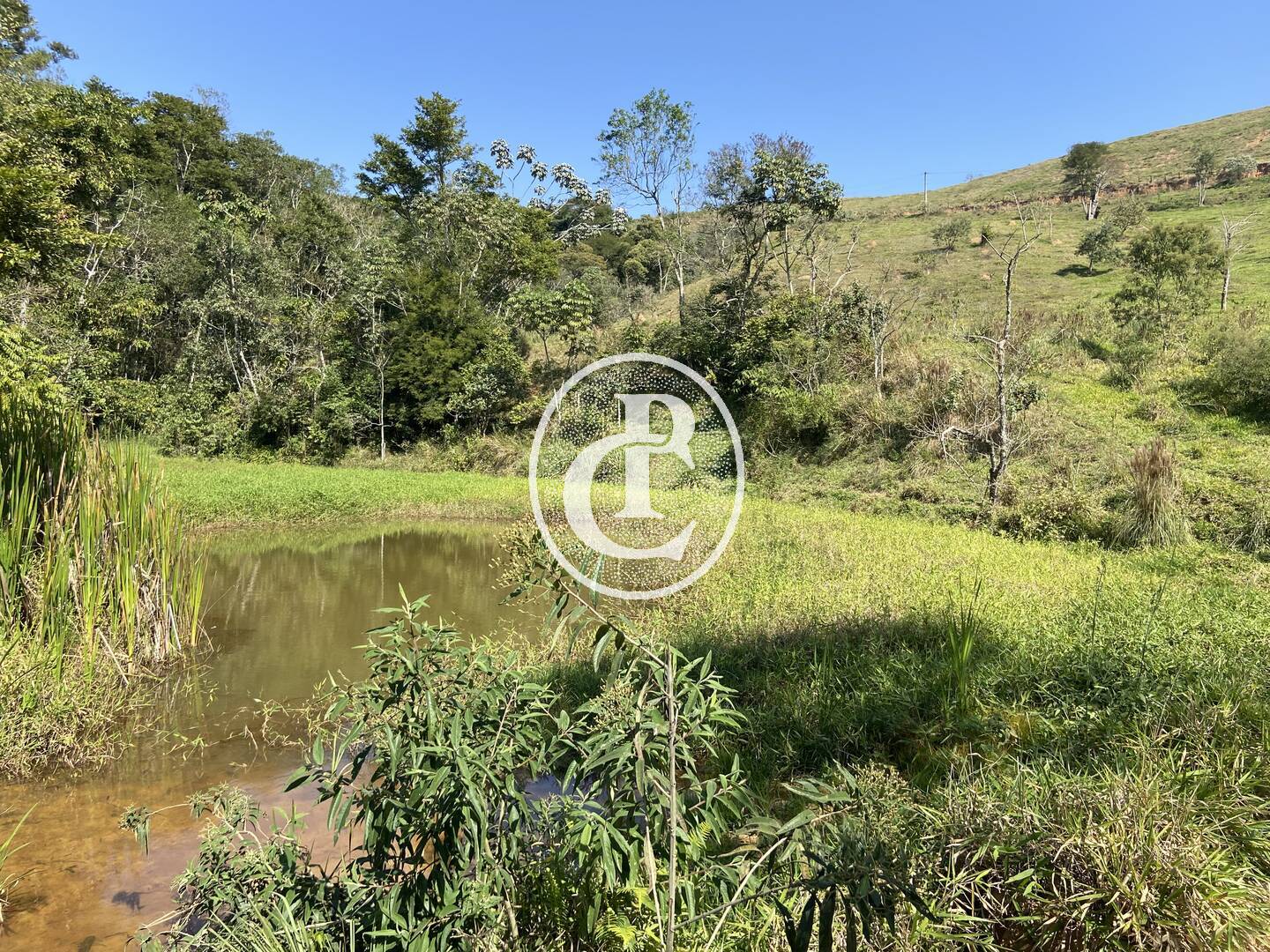 Terreno, 2 hectares - Foto 26