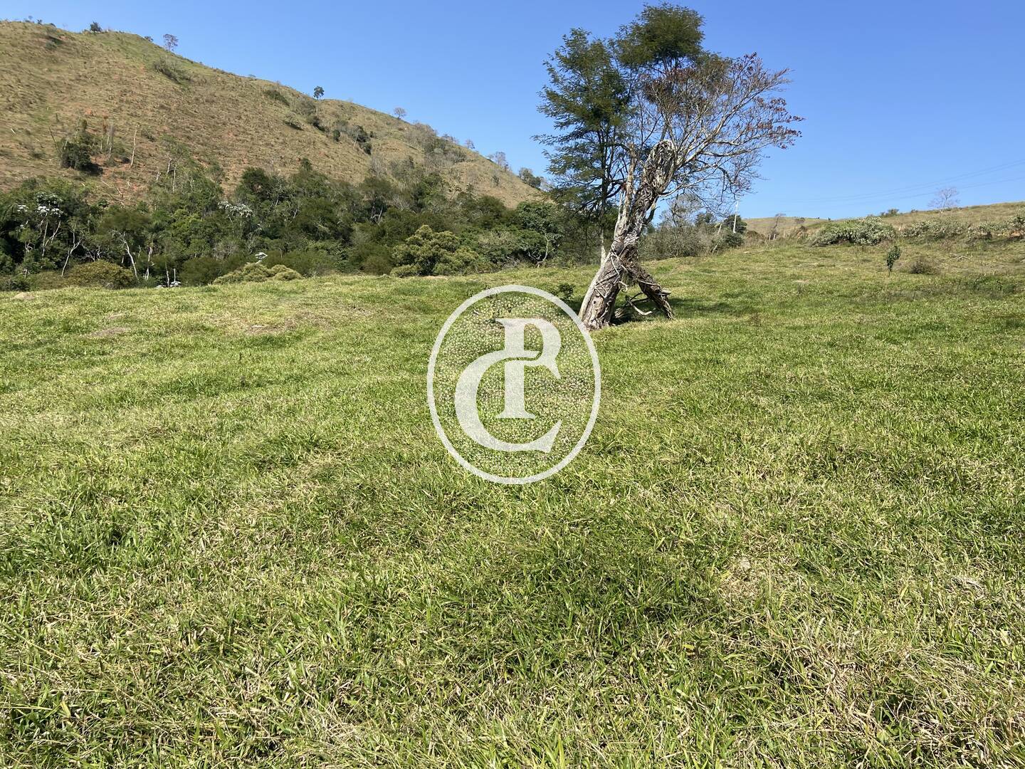 Terreno, 2 hectares - Foto 27