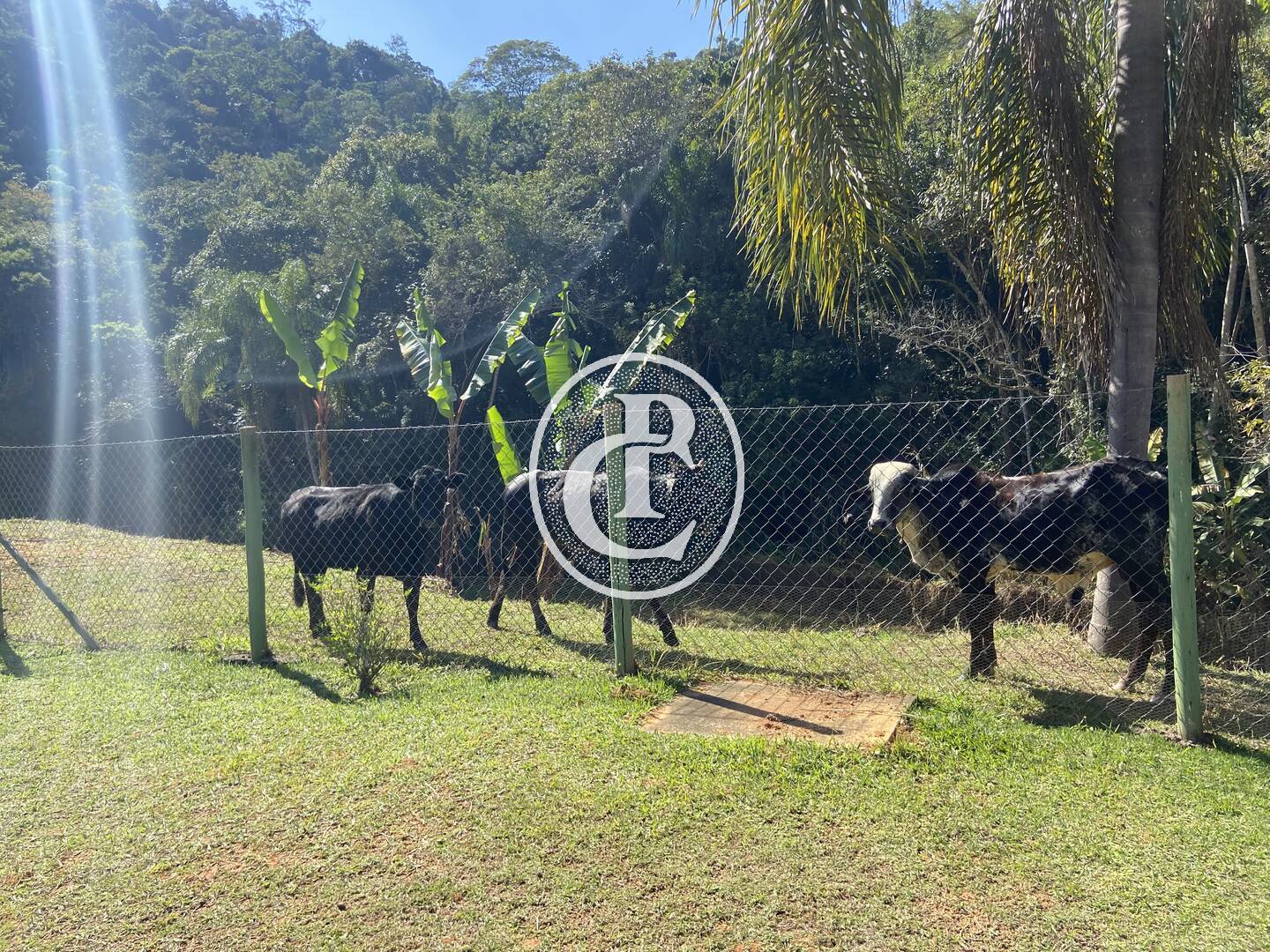 Chácara, 3 quartos, 1 hectares - Foto 24