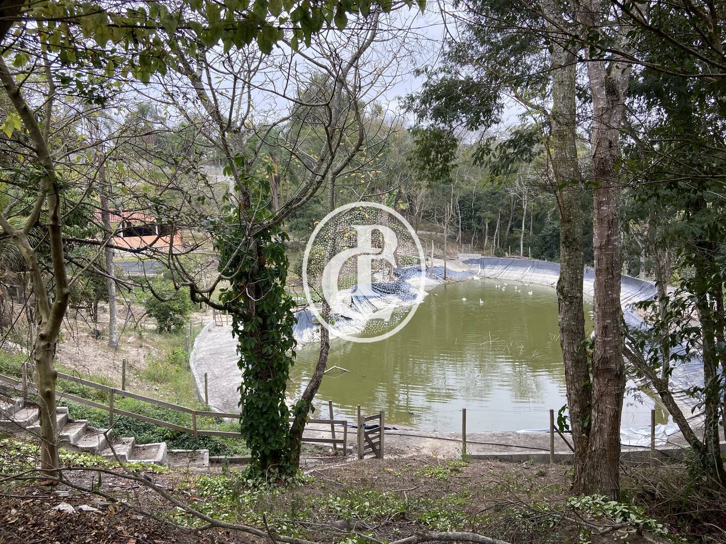 Sítio, 3 quartos, 2 hectares - Foto 2