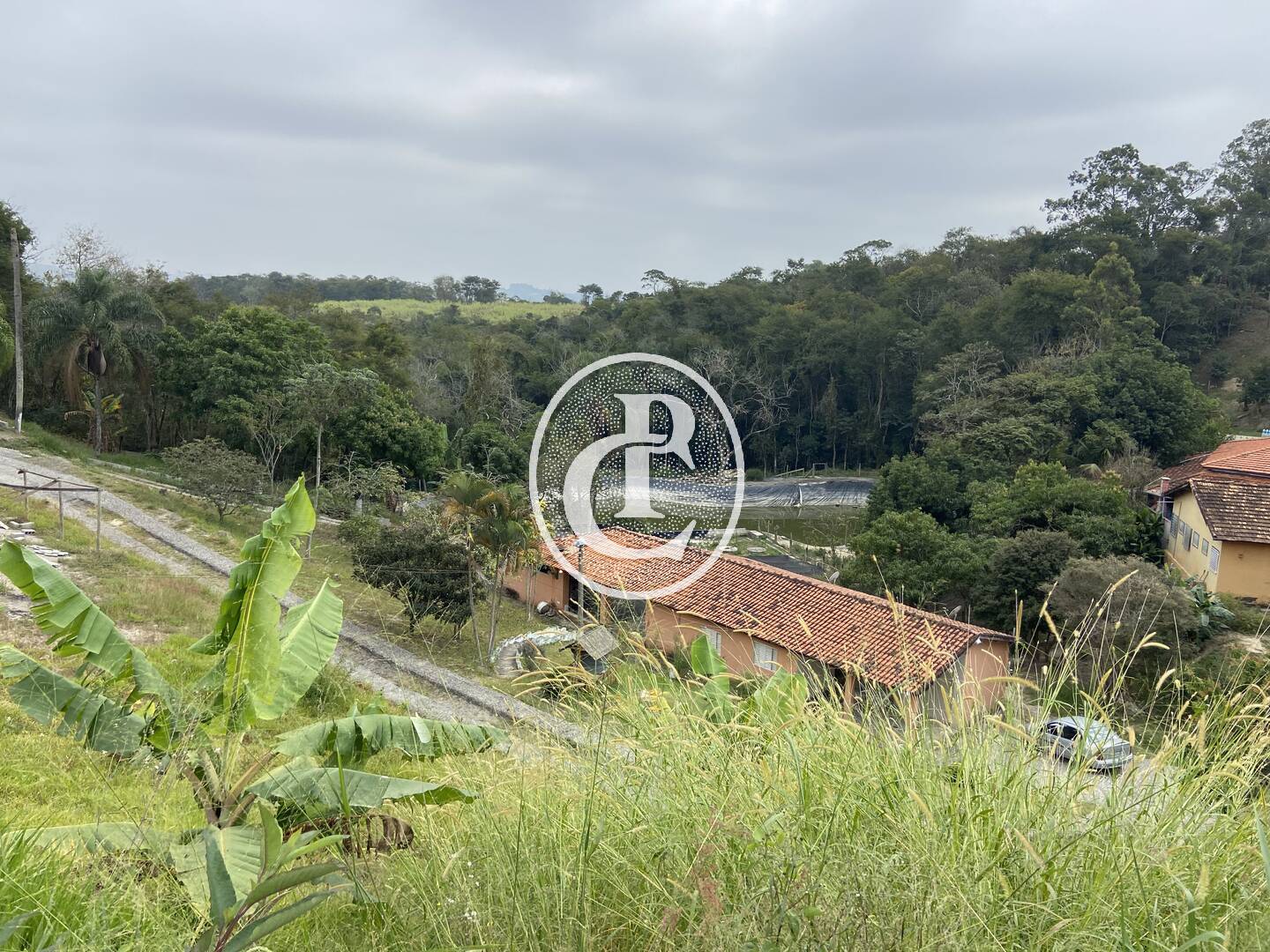 Sítio, 3 quartos, 2 hectares - Foto 11