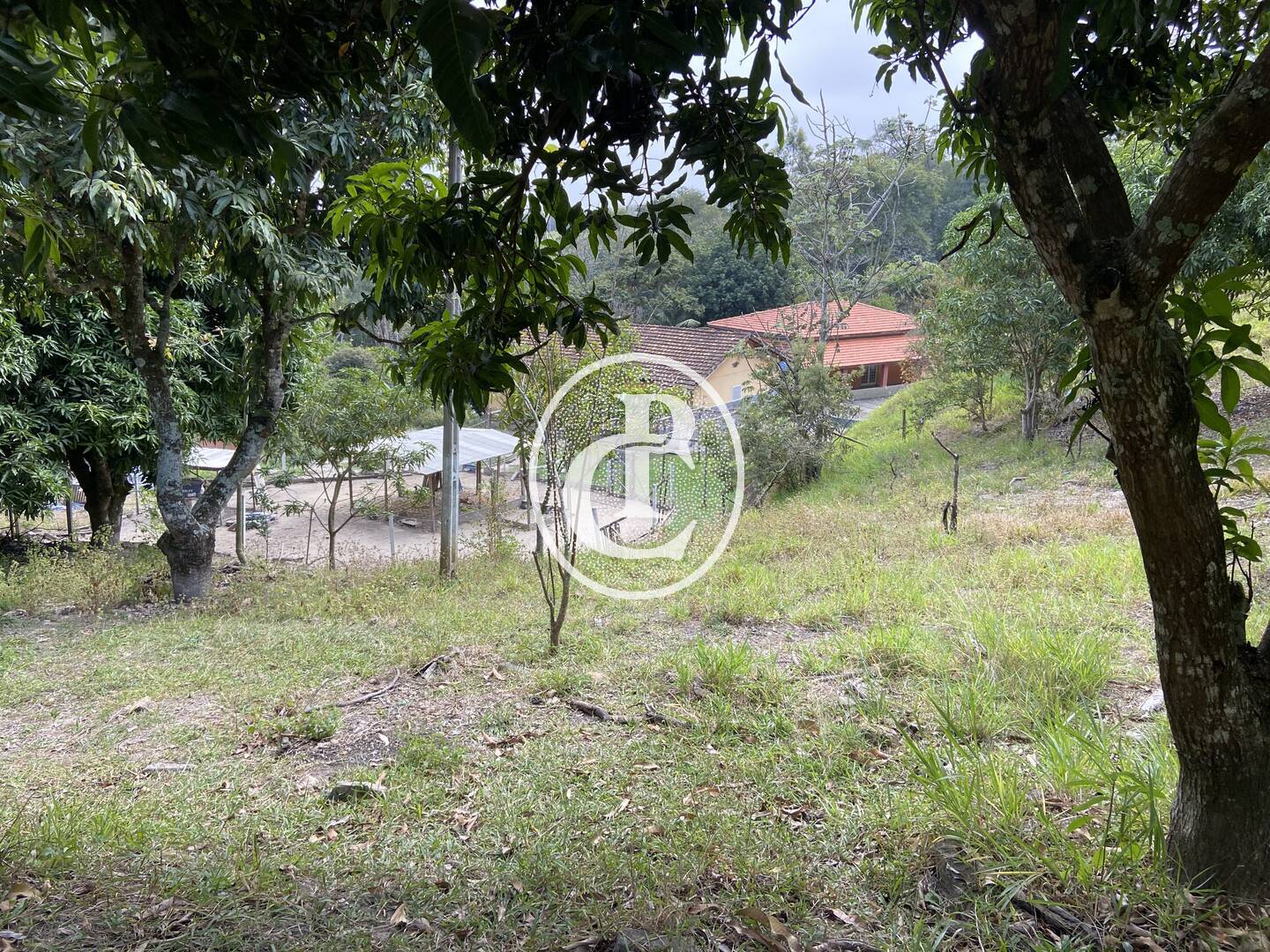 Sítio, 3 quartos, 2 hectares - Foto 14