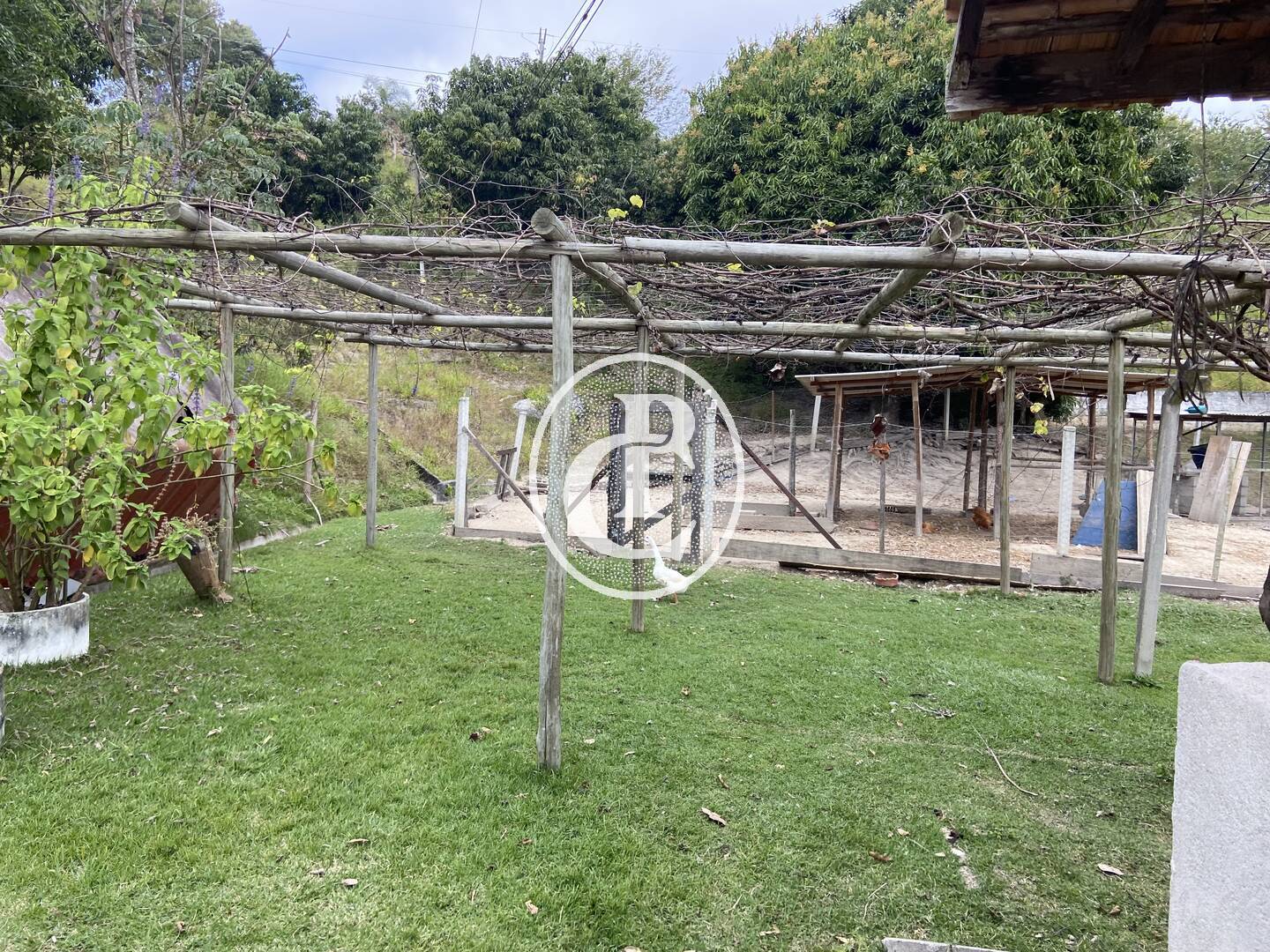 Sítio, 3 quartos, 2 hectares - Foto 24