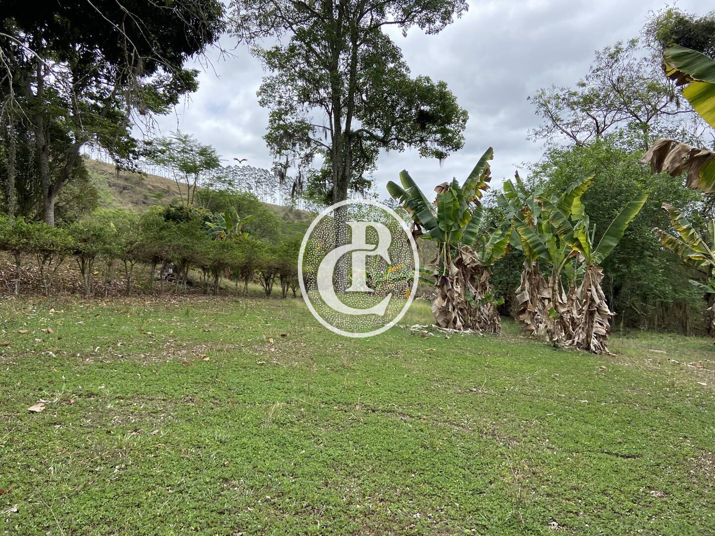 Fazenda, 48 m² - Foto 7