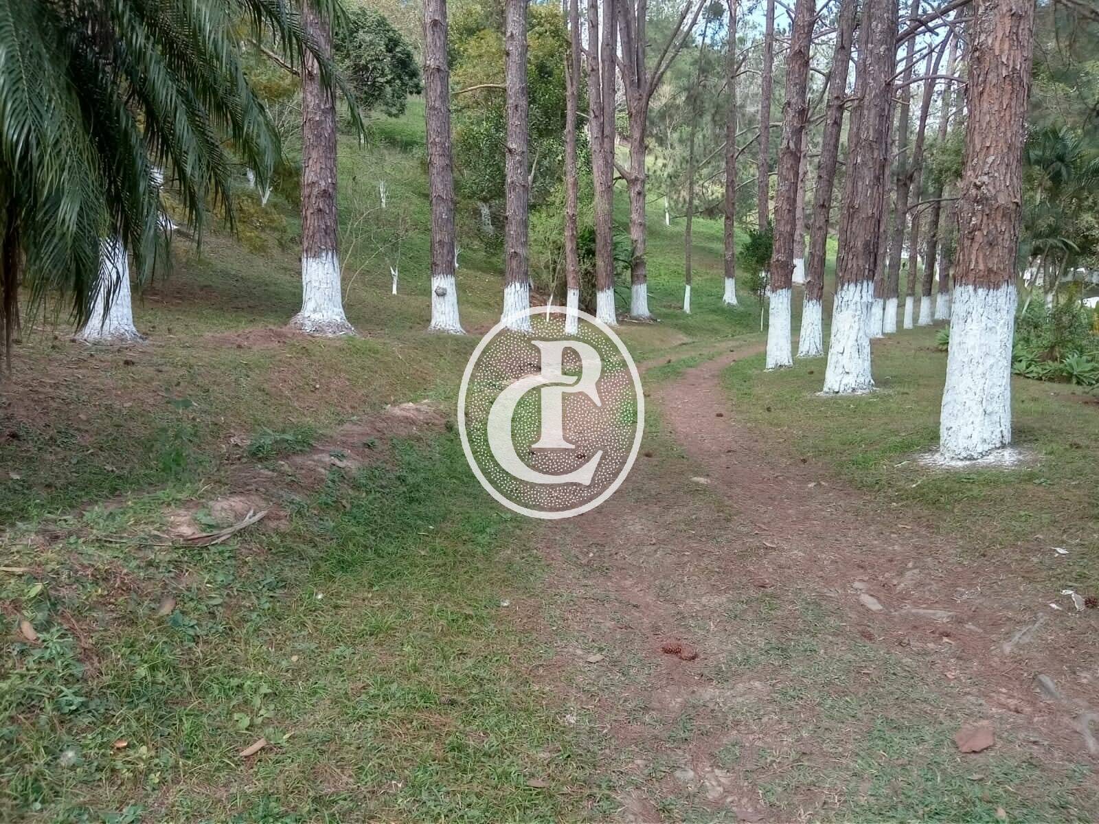 Sítio, 3 quartos, 1 hectares - Foto 2