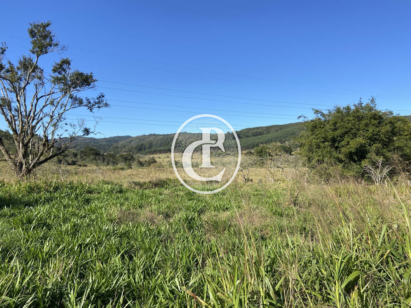 Fazenda, 121000 hectares - Foto 2