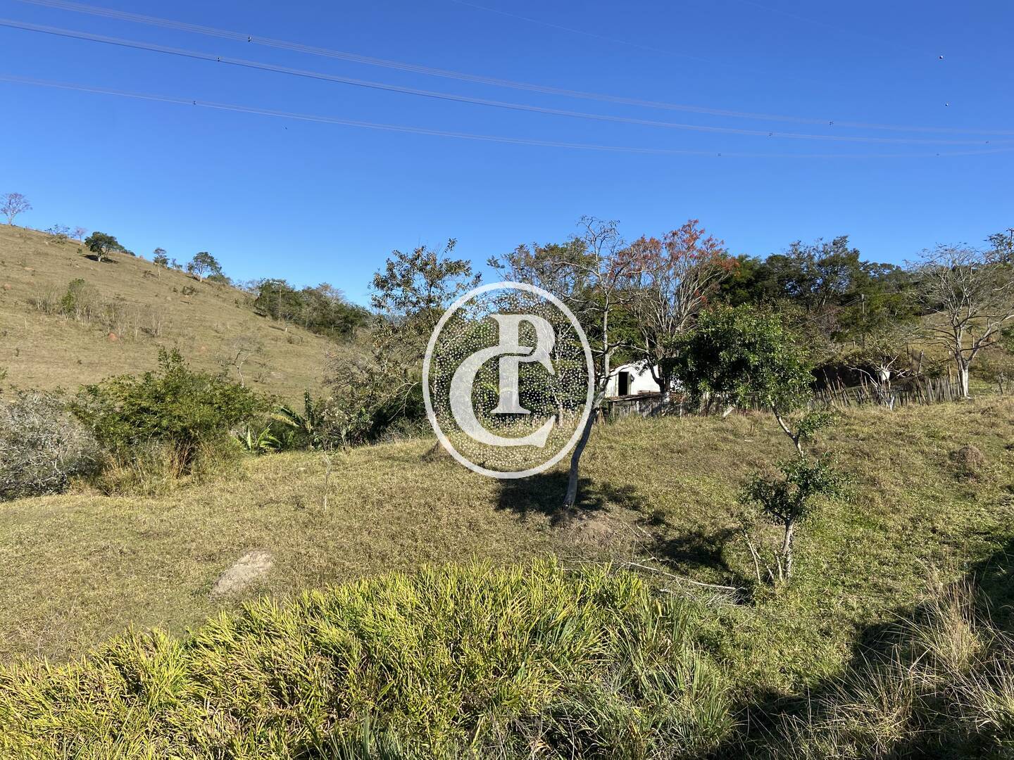 Fazenda, 121000 hectares - Foto 3