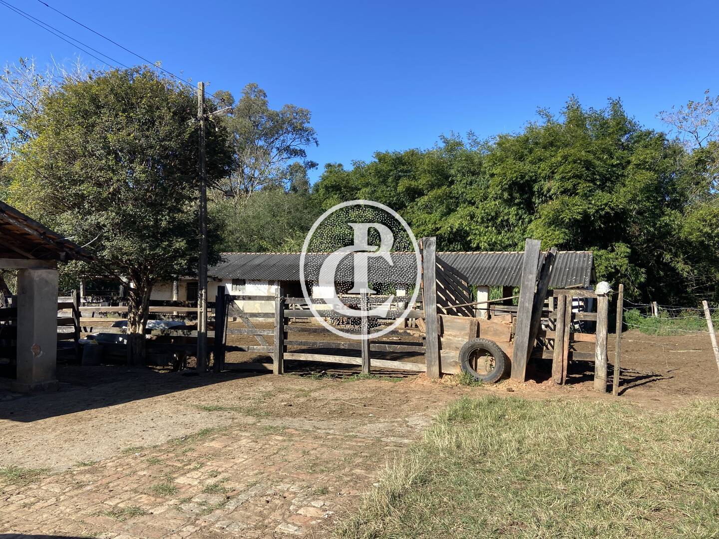 Fazenda, 121000 hectares - Foto 5