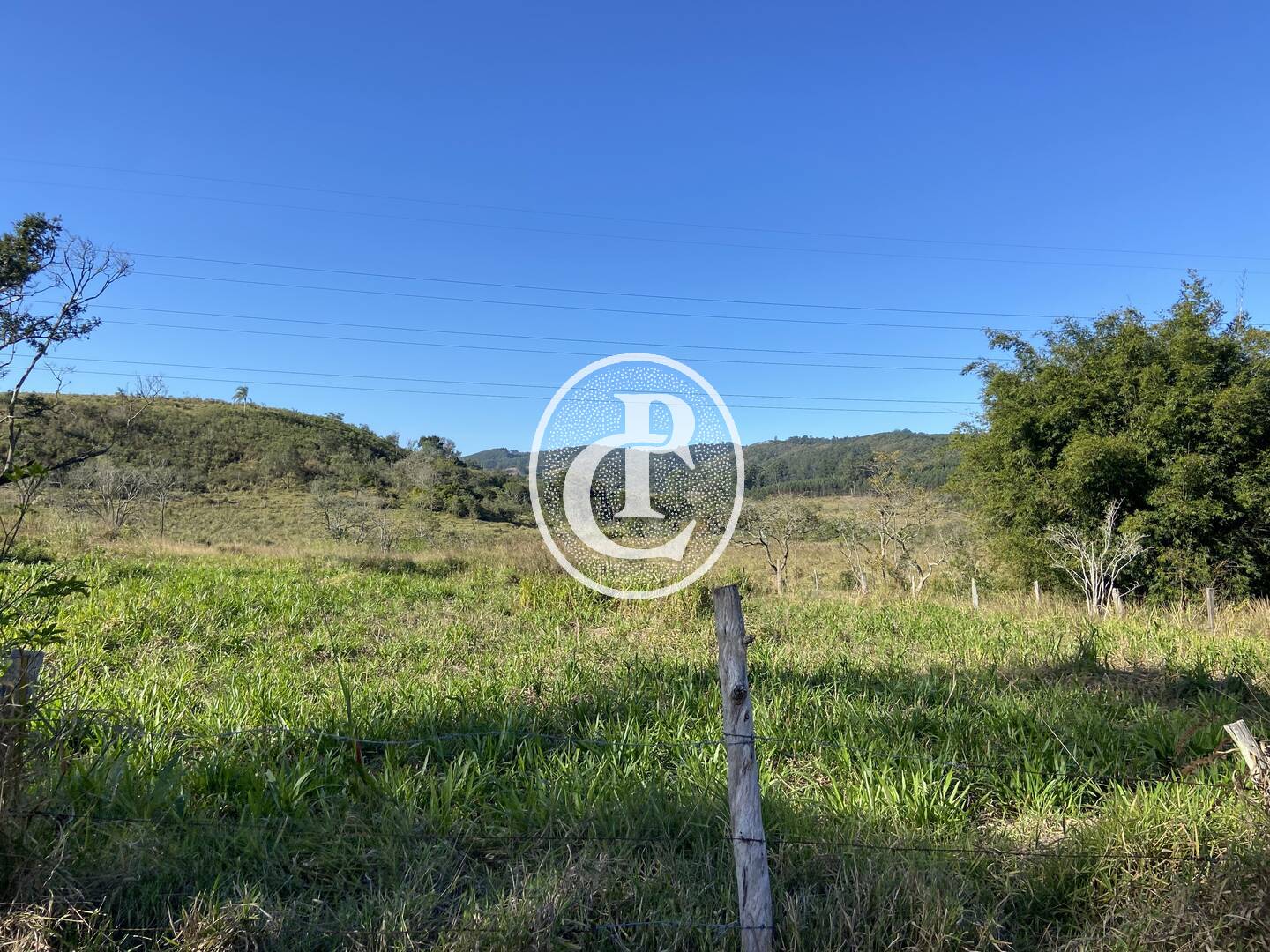 Fazenda, 121000 hectares - Foto 6