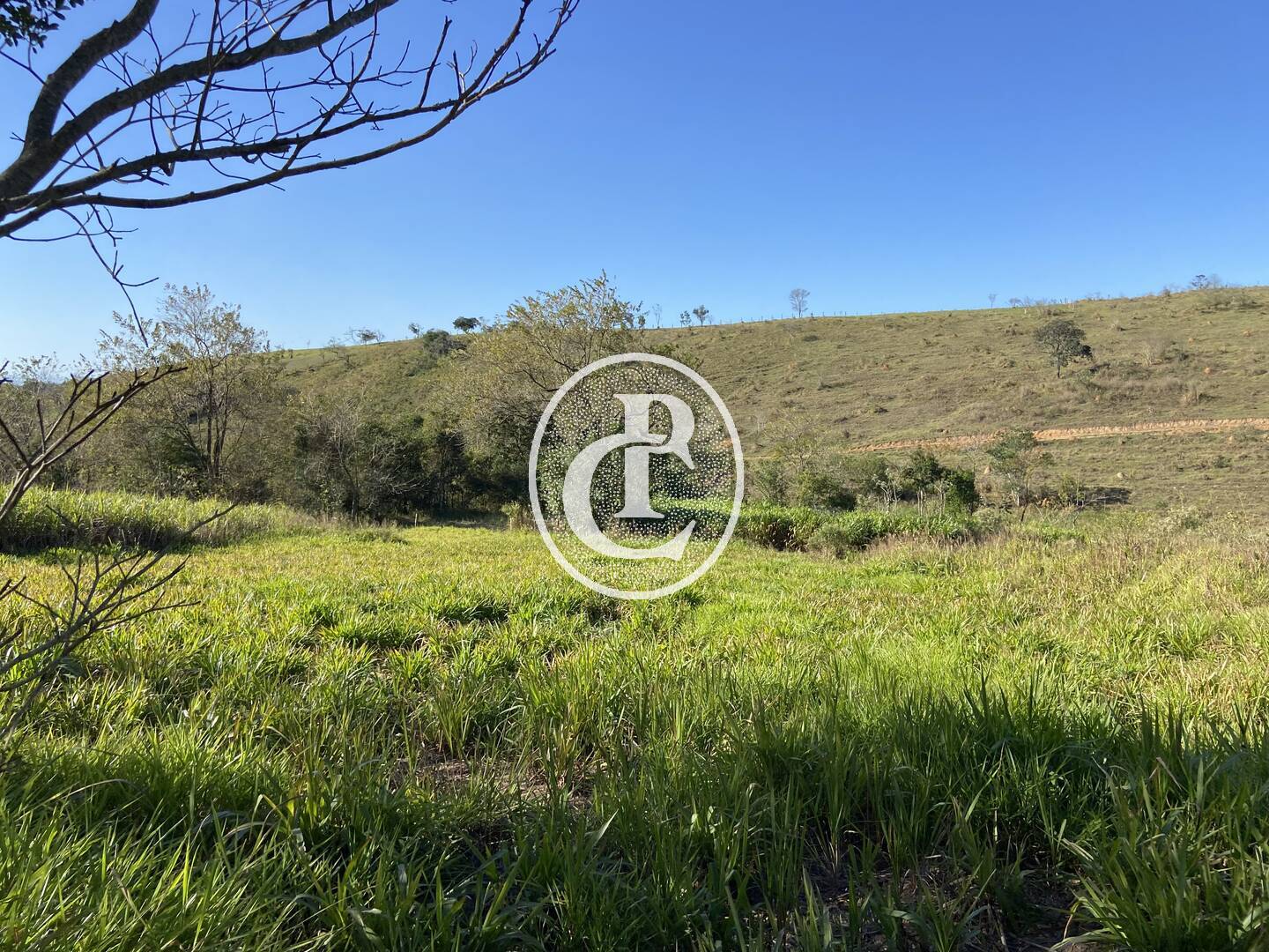 Fazenda, 121000 hectares - Foto 7