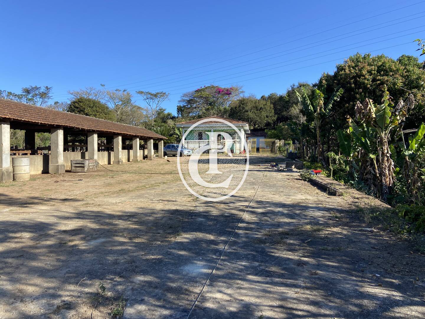 Fazenda, 121000 hectares - Foto 8