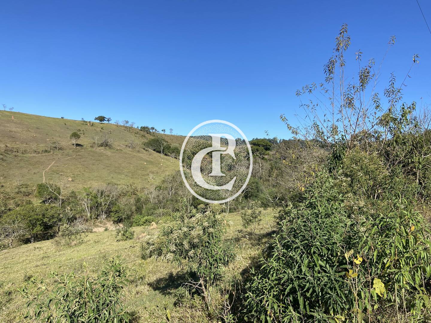 Fazenda, 121000 hectares - Foto 9