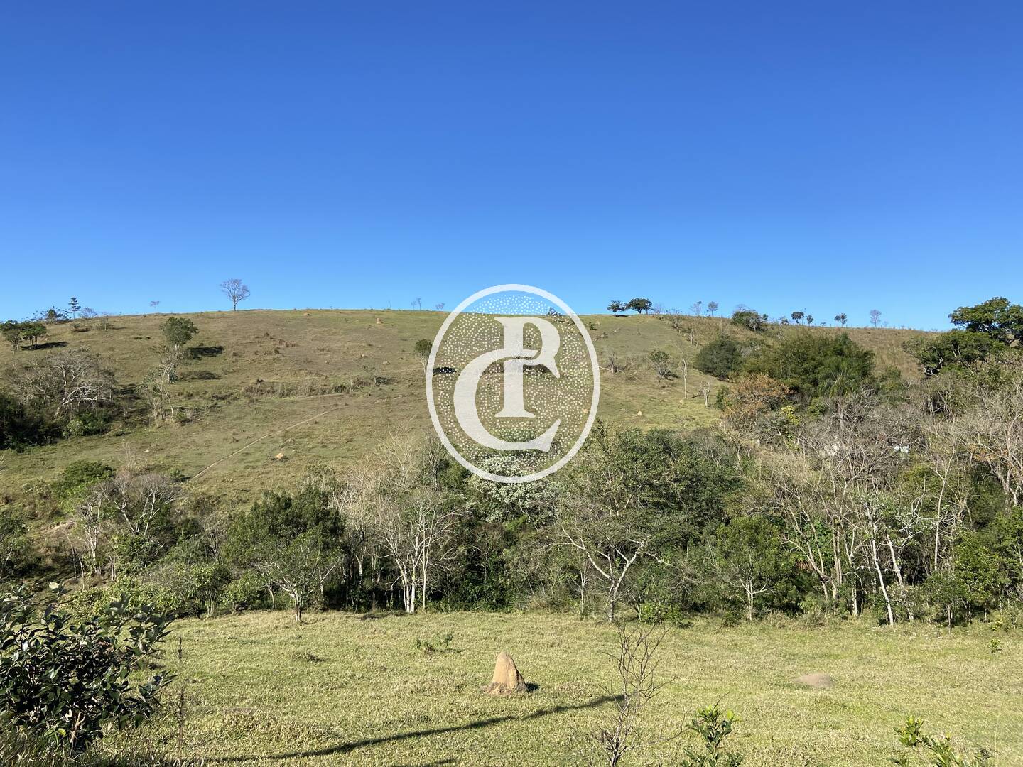 Fazenda, 121000 hectares - Foto 11