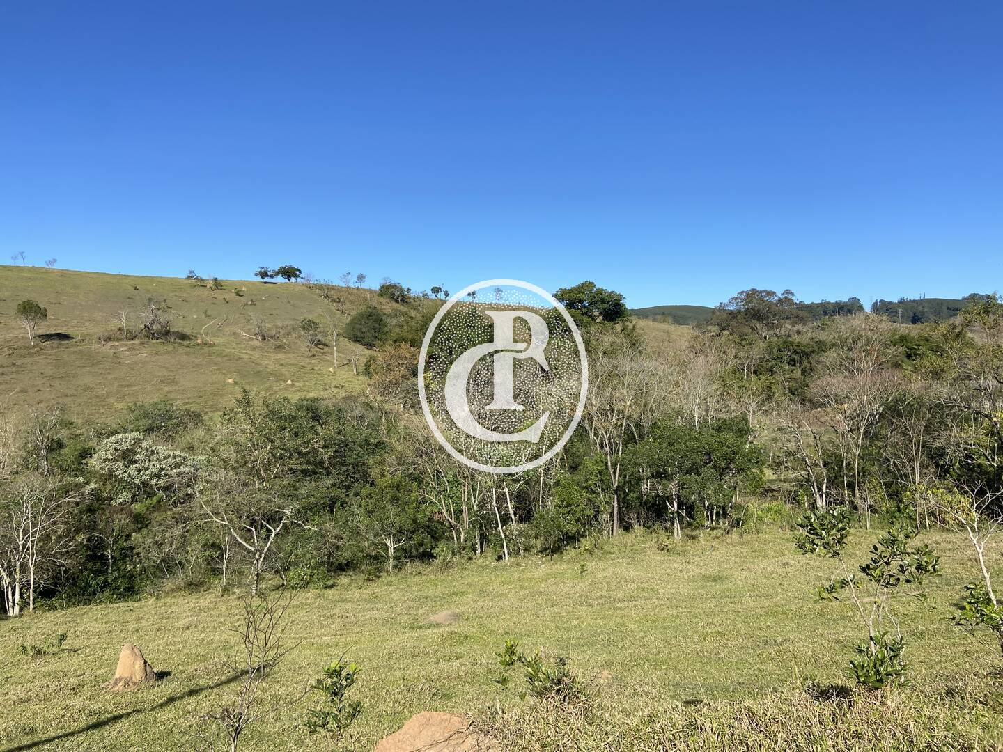 Fazenda, 121000 hectares - Foto 12