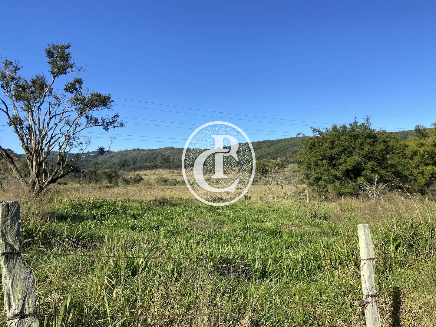 Fazenda, 121000 hectares - Foto 14