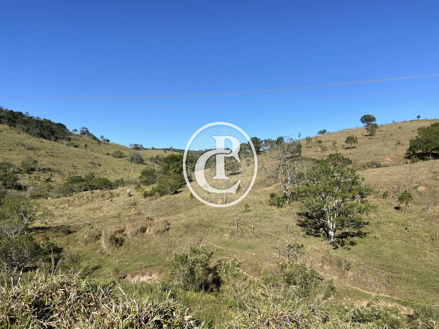 Fazenda, 121000 hectares - Foto 15