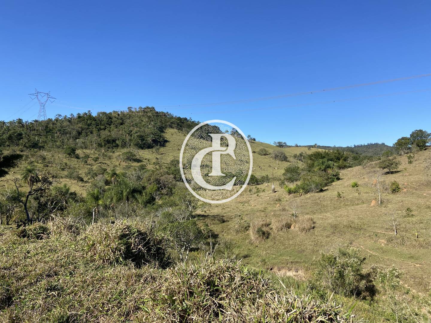 Fazenda, 121000 hectares - Foto 16