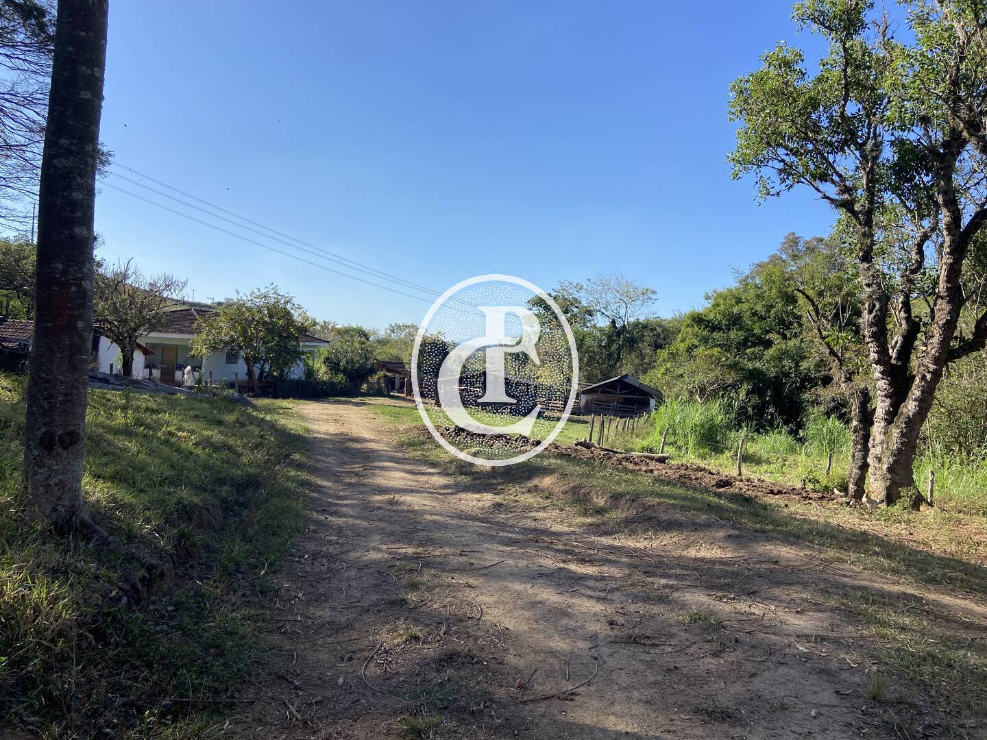 Fazenda, 121000 hectares - Foto 17