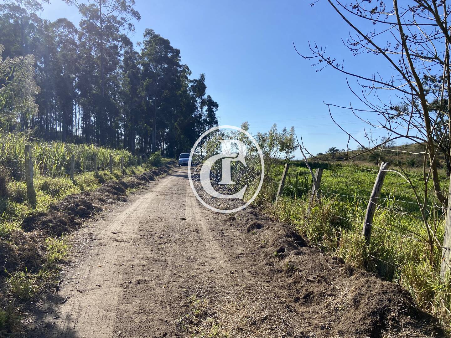 Fazenda, 121000 hectares - Foto 18