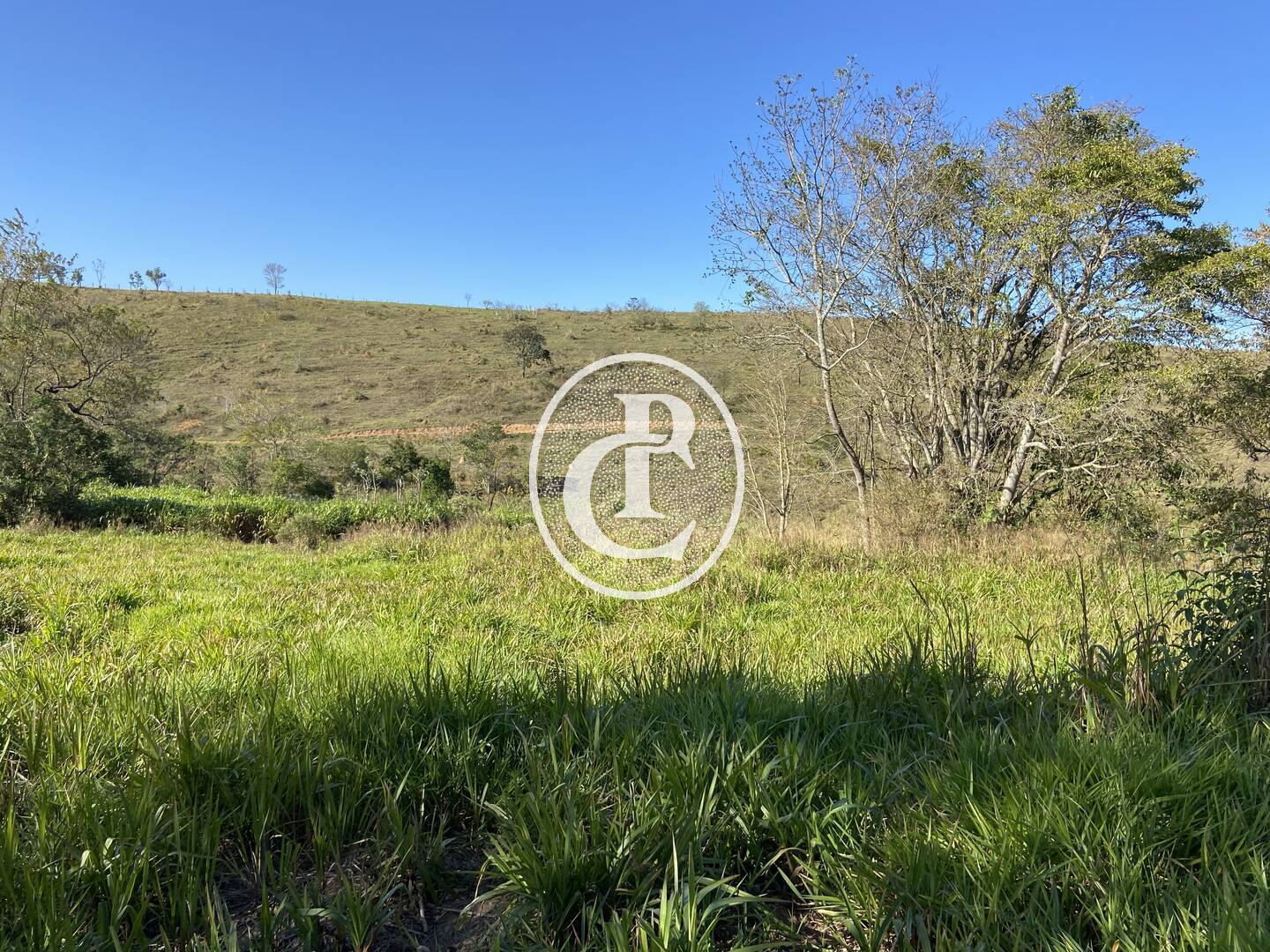 Fazenda, 121000 hectares - Foto 19