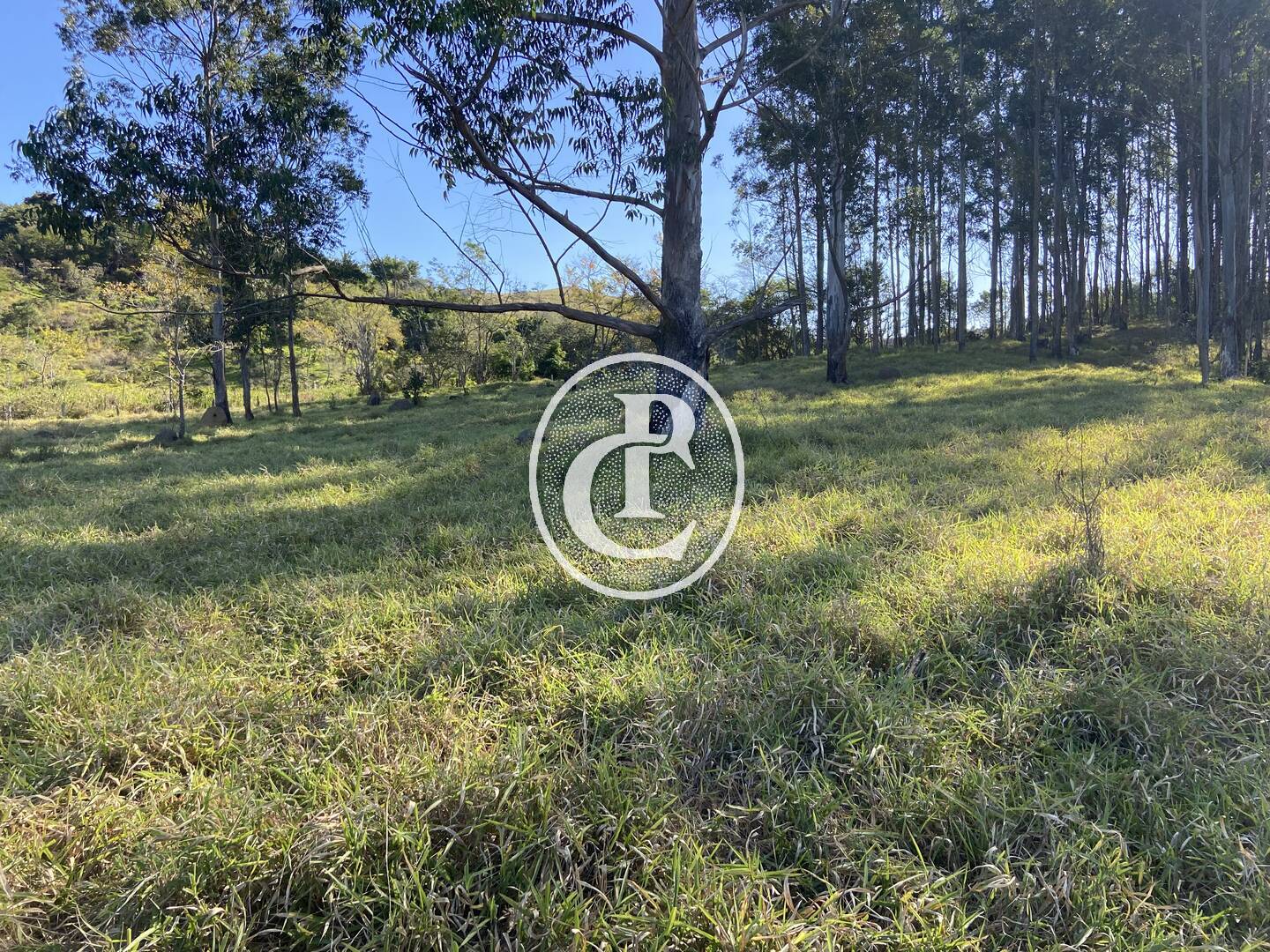 Fazenda, 121000 hectares - Foto 21