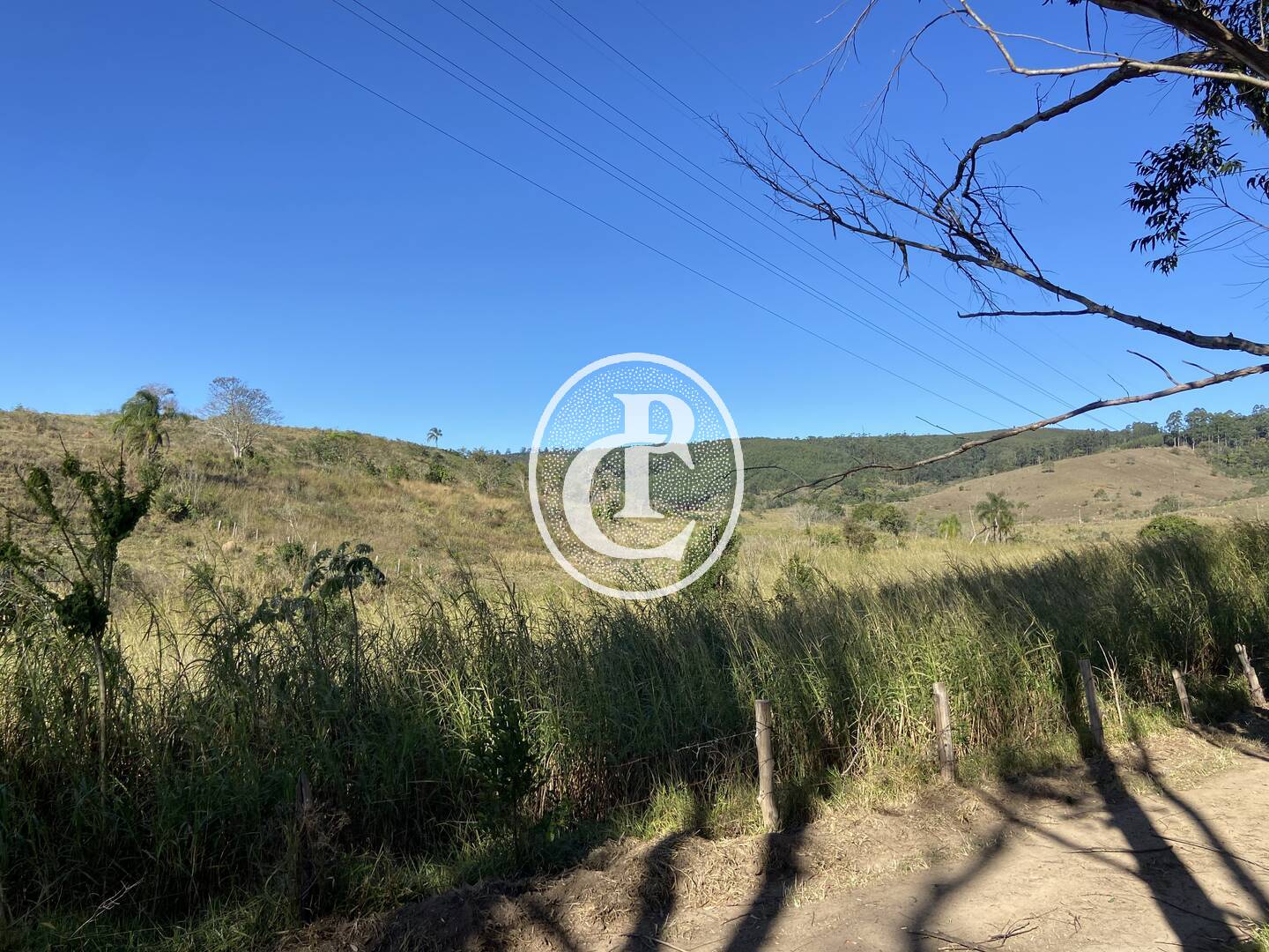 Fazenda, 121000 hectares - Foto 22