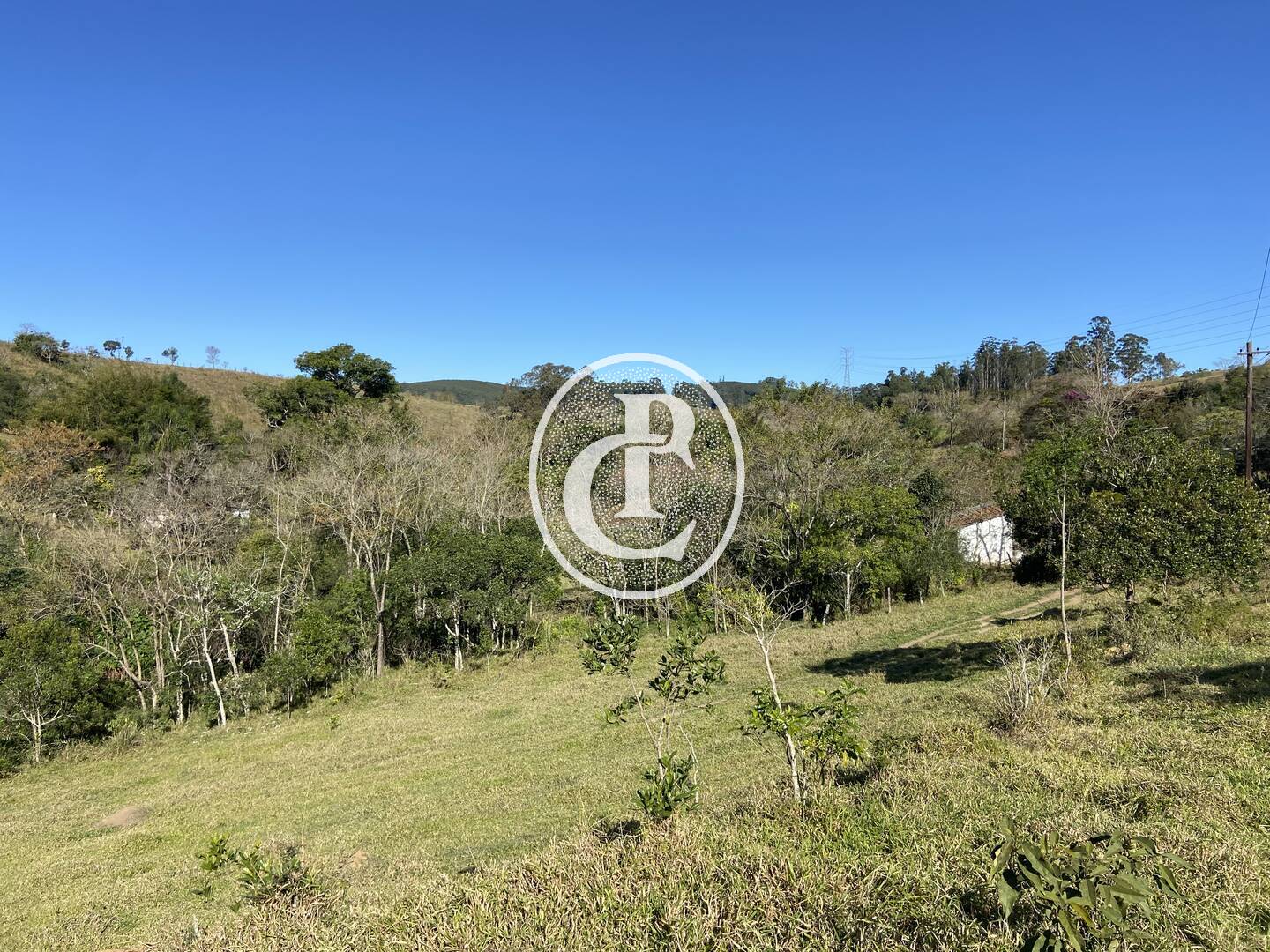 Fazenda, 121000 hectares - Foto 24