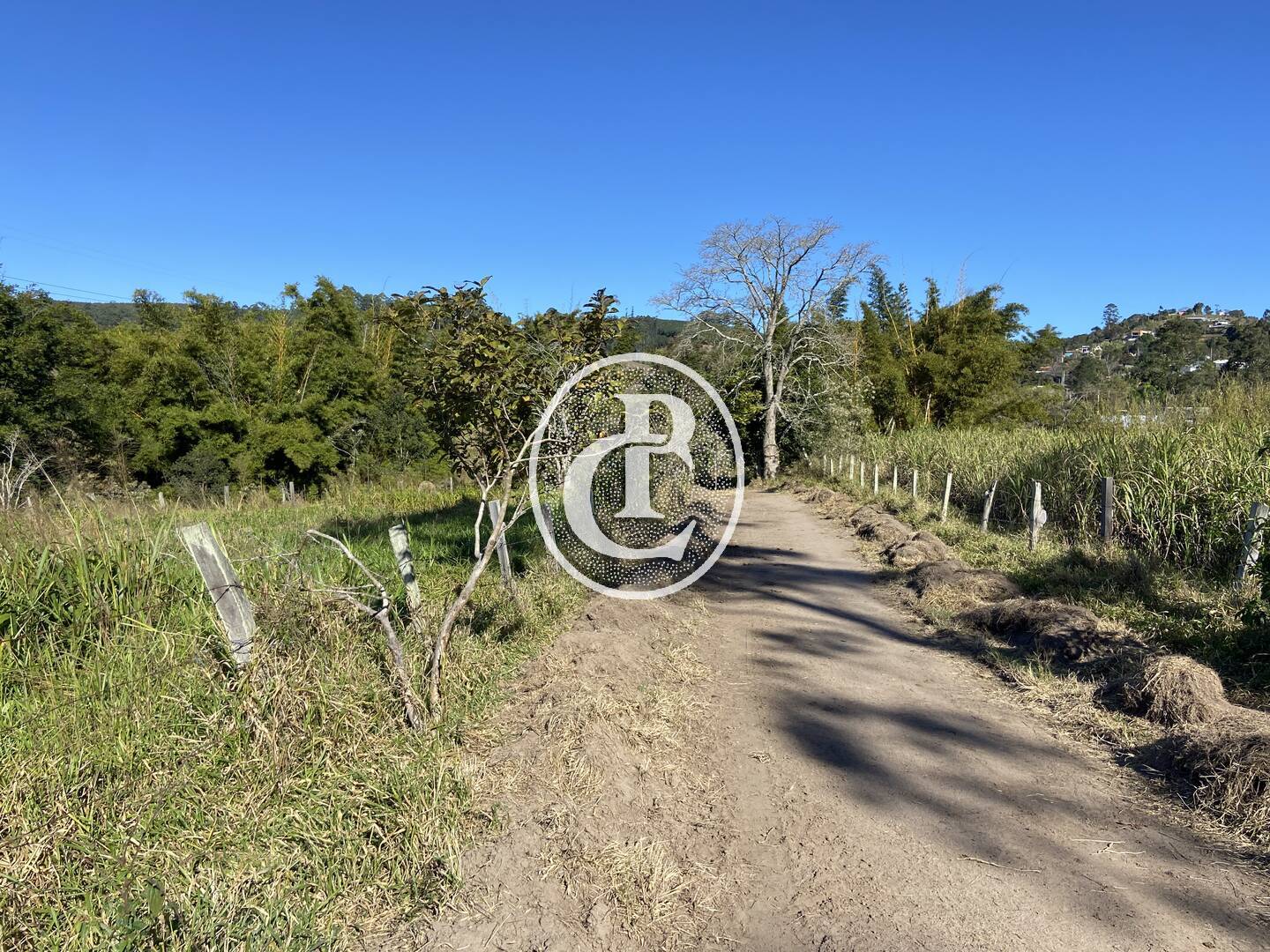 Fazenda, 121000 hectares - Foto 26