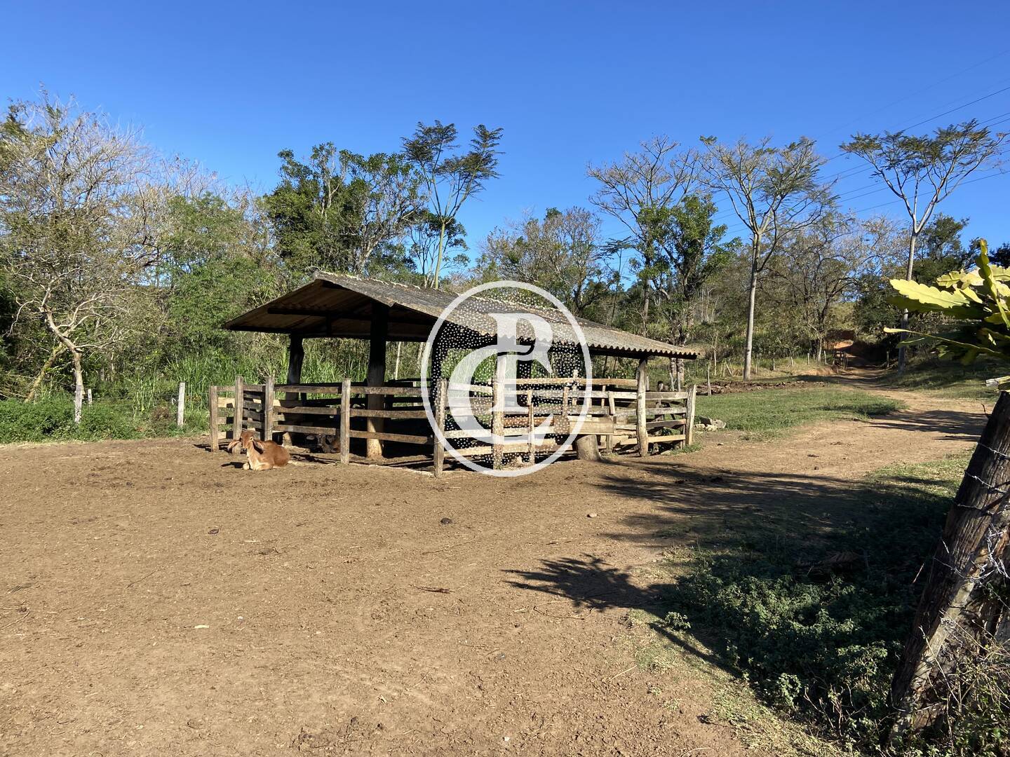 Fazenda, 121000 hectares - Foto 27