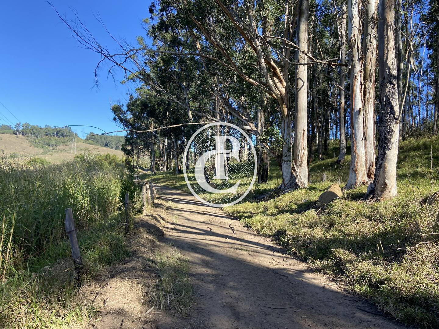 Fazenda, 121000 hectares - Foto 28