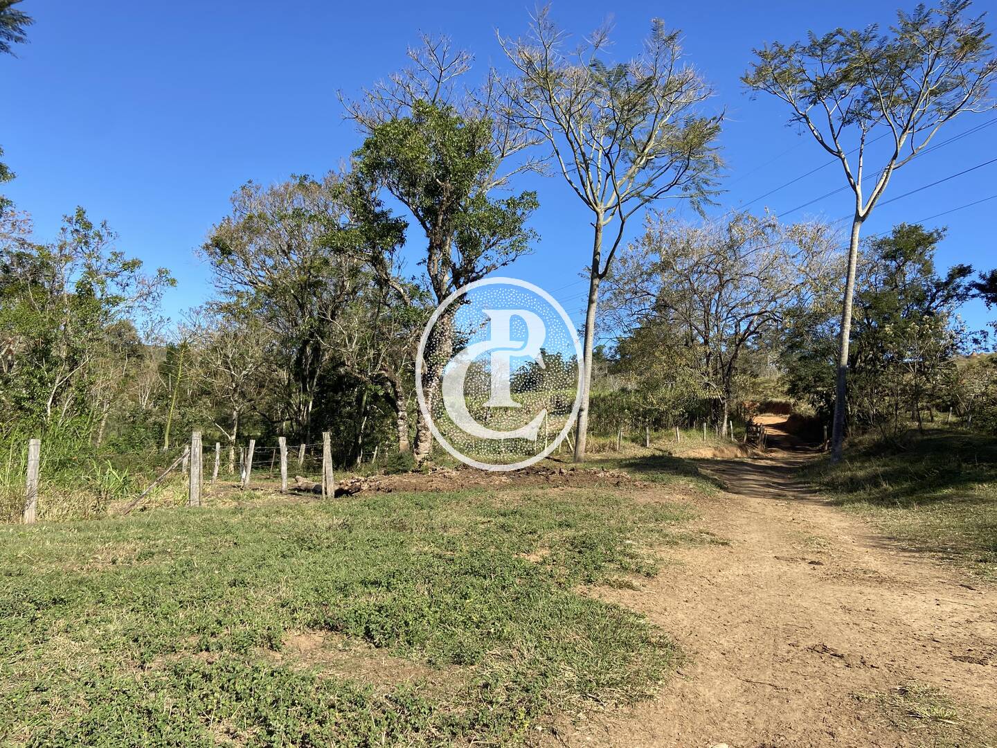 Fazenda, 121000 hectares - Foto 30