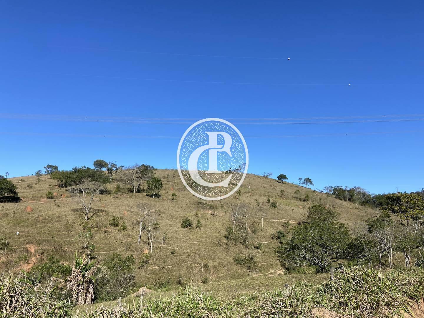 Fazenda, 121000 hectares - Foto 33