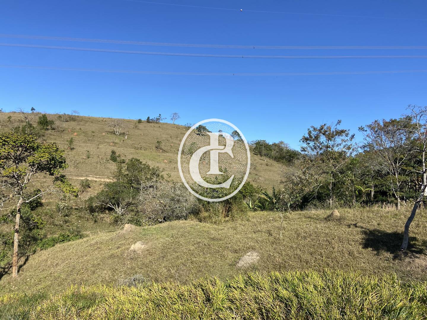 Fazenda, 121000 hectares - Foto 34