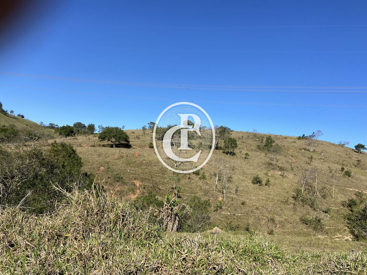 Fazenda, 121000 hectares - Foto 35