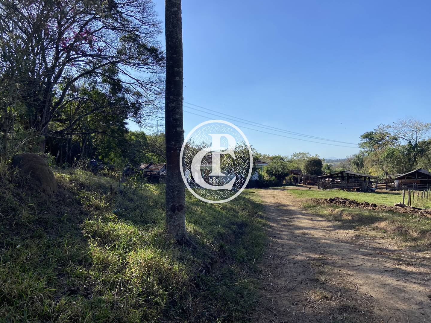 Fazenda, 121000 hectares - Foto 36