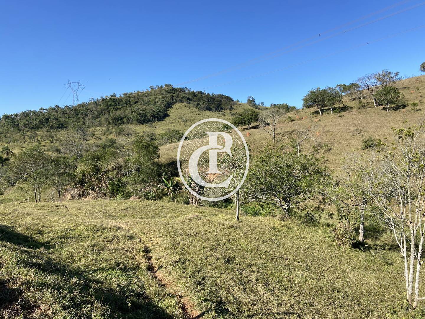 Fazenda, 121000 hectares - Foto 37