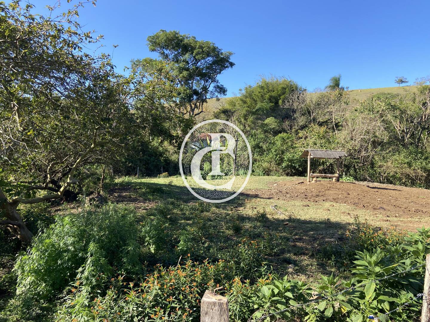 Fazenda, 121000 hectares - Foto 38